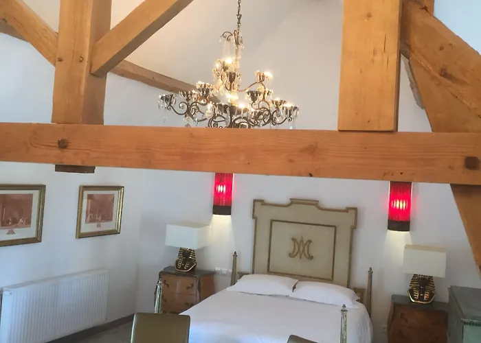 ベッド・アンド・ブレックファスト シャトー デ ラ グジューネリ 4*